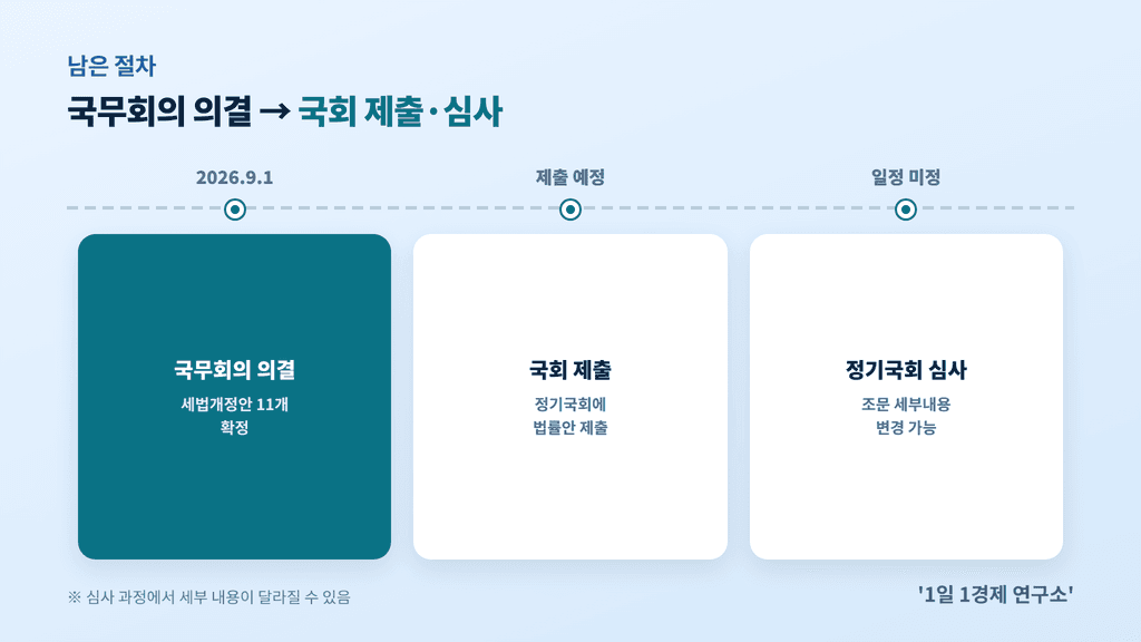 국무회의 의결 이후 남은 절차 — 국회 제출과 정기국회 심사
