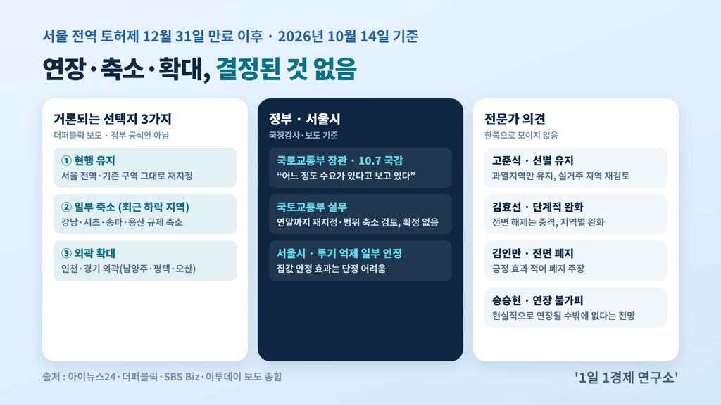 토허제 연장 쟁점 — 거론 선택지 3가지와 정부·서울시·전문가 입장, 출처 : 아이뉴스24·더퍼블릭·SBS Biz·이투데이 보도 종합